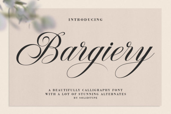 Bargiery Font for Campaign Creatives