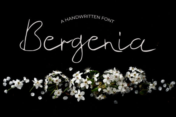 Bergenia Font for Branding Projects