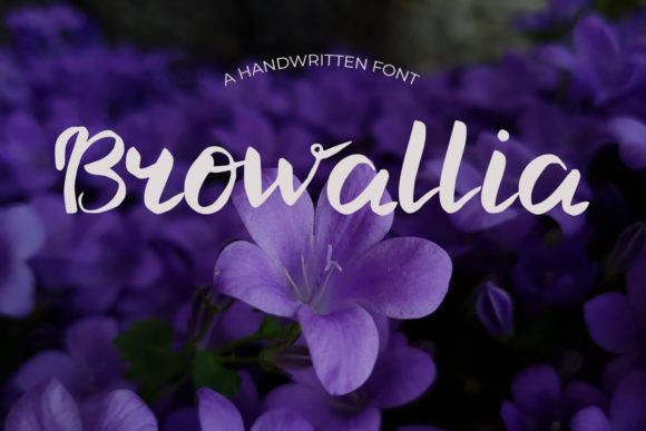 Browallia: A Handwritten Font for Web Design