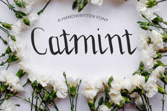 Catmint Font for Professional Branding
