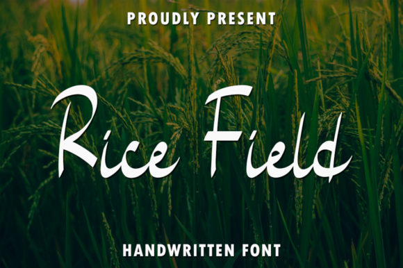 Rice Field: A Delicate Font for Elegant Branding