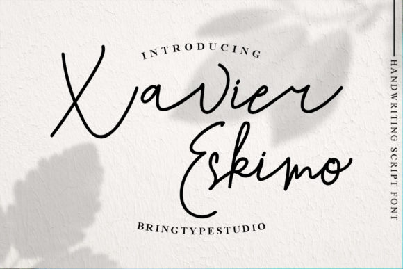 Xavier Eskimo Font for Modern Design
